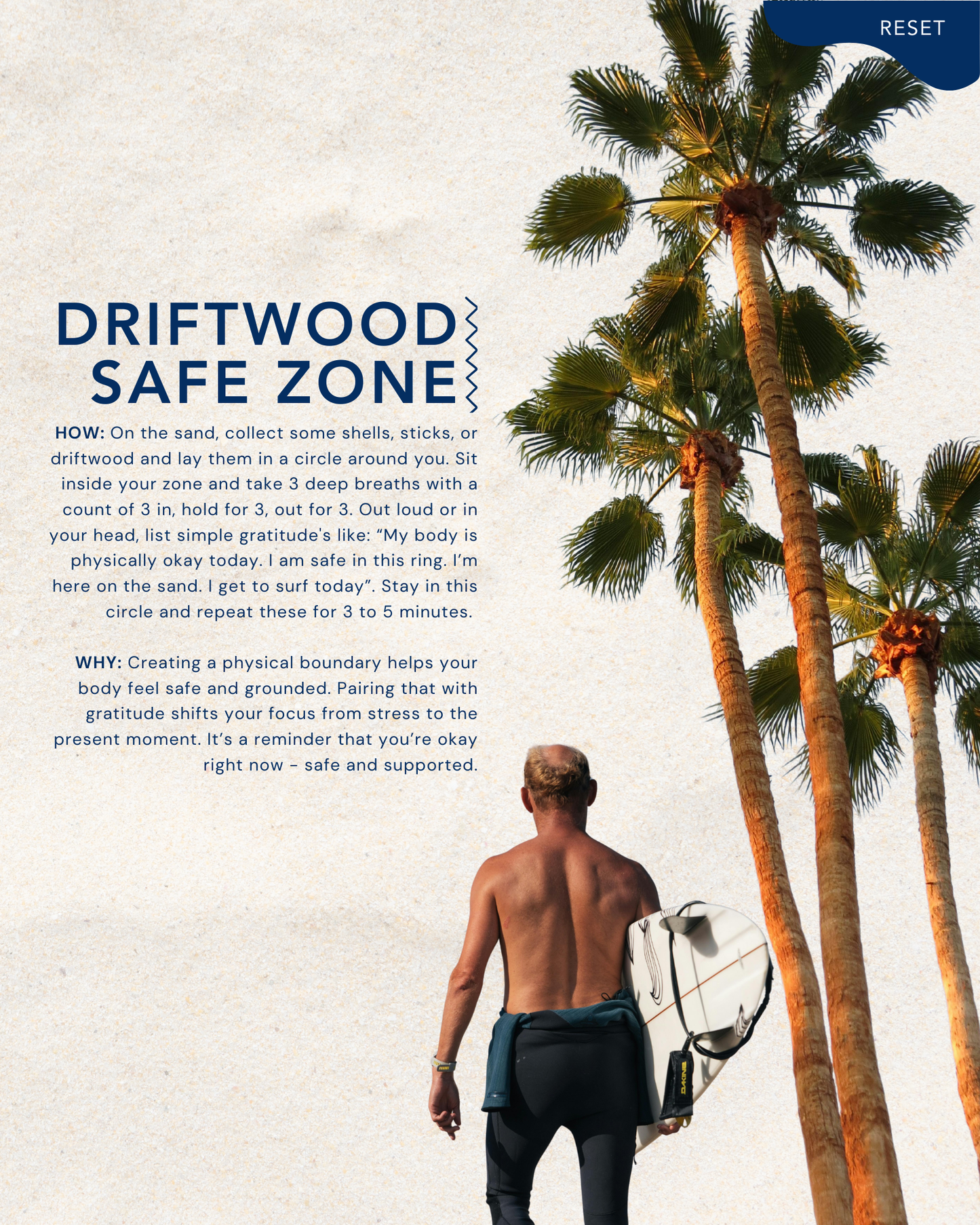 THE E-GUIDE: EDITION 01