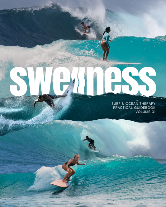 THE E-GUIDE: EDITION 01