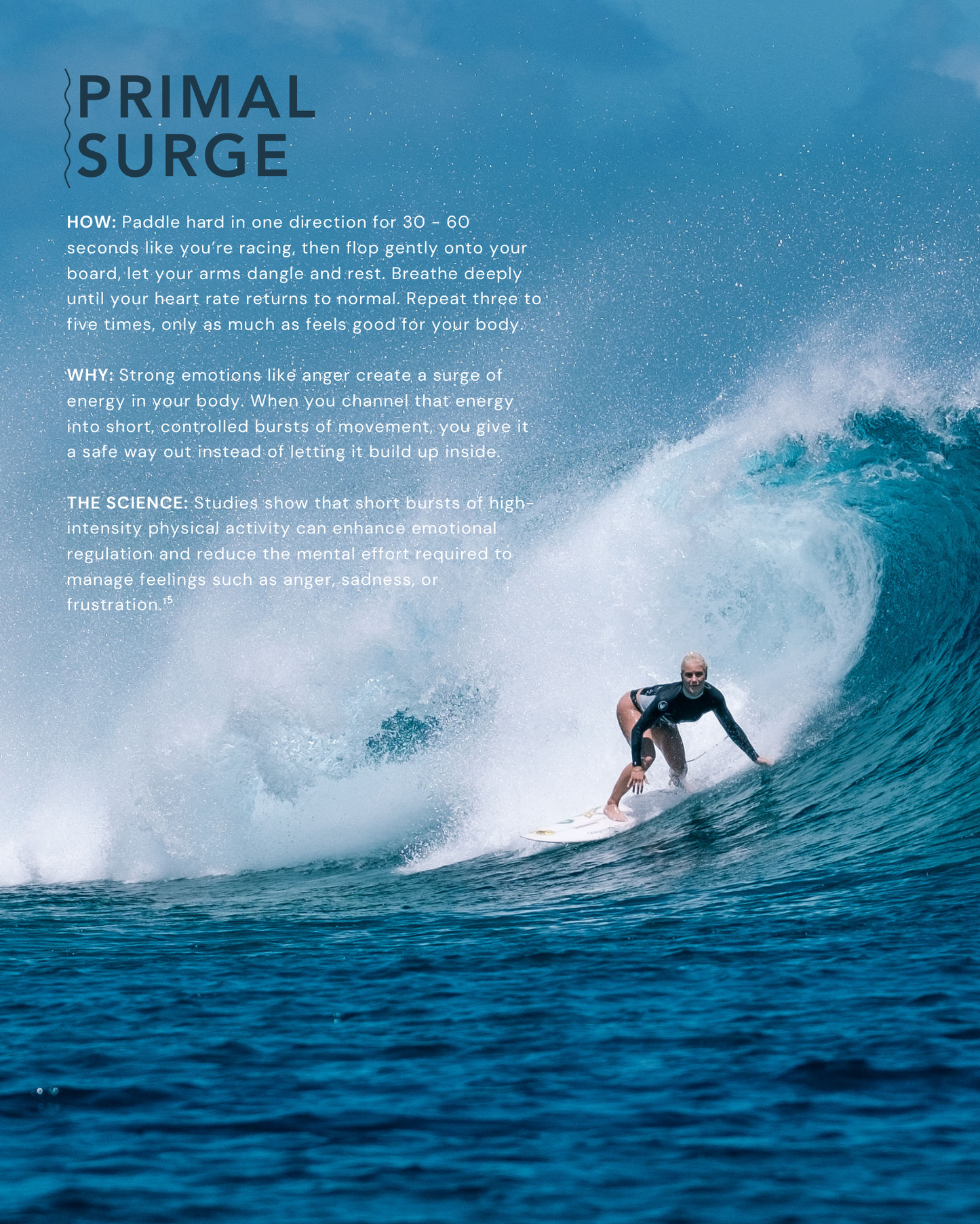 PRE ORDER - THE GUIDE: EDITION 01 - HARDCOPY